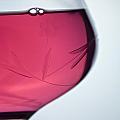Glass of Rose'