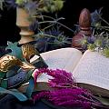 Mask and Book