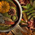 Still Life in Autumn