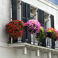 French Quarter Veranda